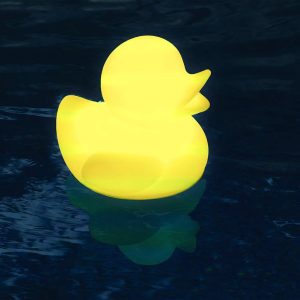 LED Ducky